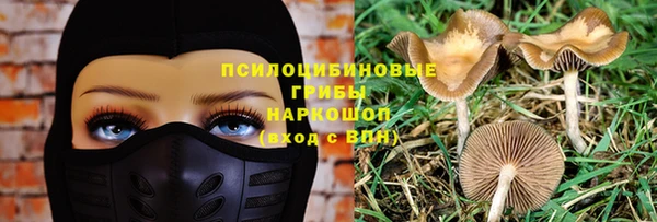 хмурый Краснослободск