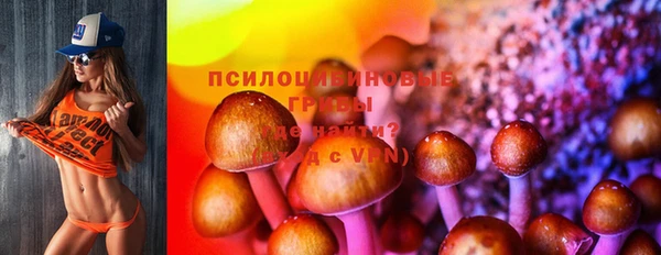 прущая мука Кулебаки