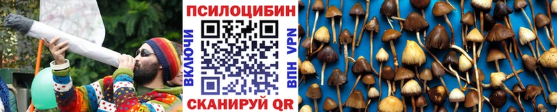 сколько стоит  Мамадыш  Галлюциногенные грибы ЛСД 